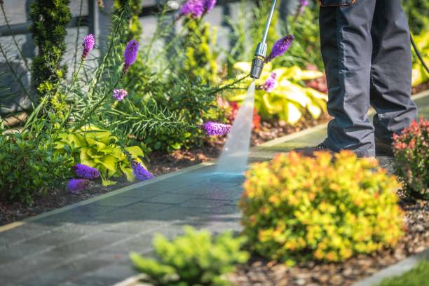 Best Fence Cleaning  in Woodway, TX
